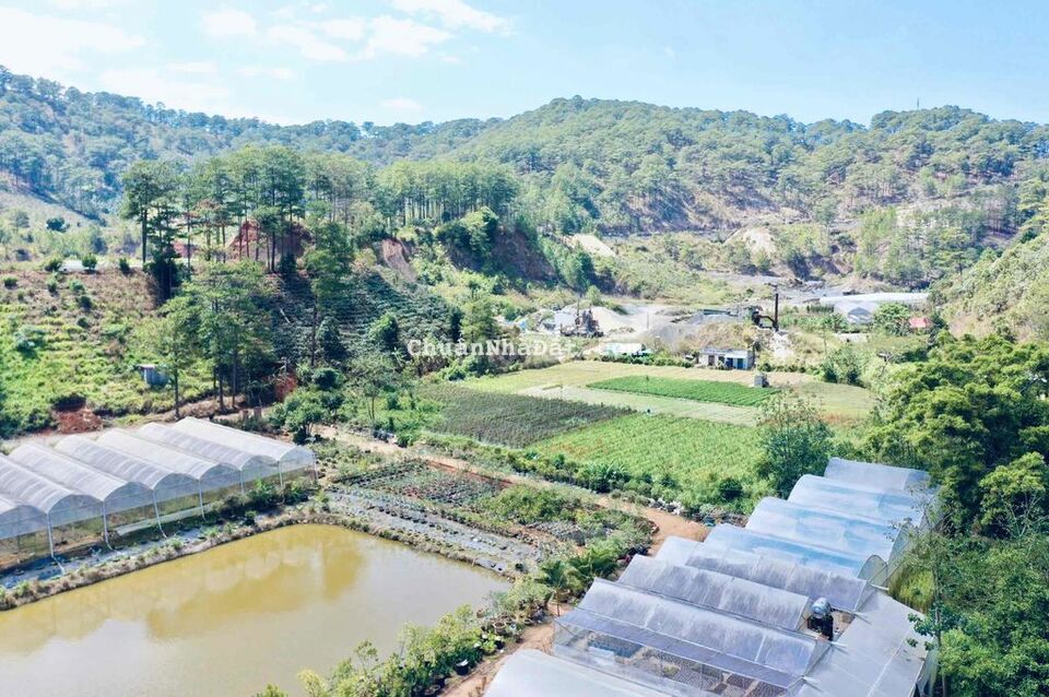 BÁN 2HA NGAY CHÂN ĐÈO PRENN - TP.ĐÀ LẠT BÁN 2HA NGAY CHÂN ĐÈO PRENN - TP.ĐÀ LẠT