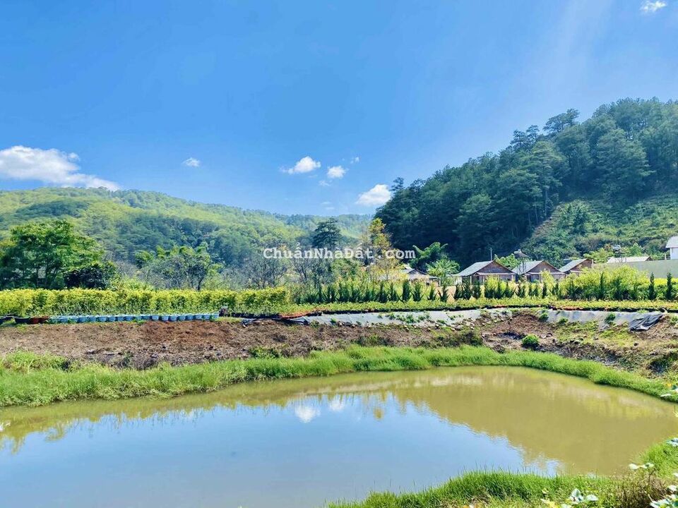 BÁN 2HA NGAY CHÂN ĐÈO PRENN - TP.ĐÀ LẠT BÁN 2HA NGAY CHÂN ĐÈO PRENN - TP.ĐÀ LẠT
