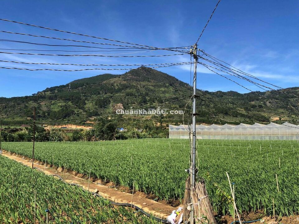 200m2 thôn KLong Hiệp an, hẻm bê tông 3,5m 200m2 thôn KLong Hiệp an, hẻm bê tông 3,5m