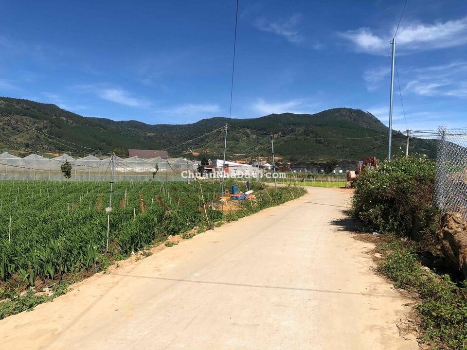 200m2 thôn KLong Hiệp an, hẻm bê tông 3,5m 200m2 thôn KLong Hiệp an, hẻm bê tông 3,5m