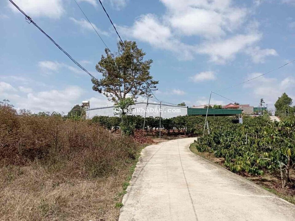 chủ ngợp gửi xã lỗ lô đất Ninh Gia Đức Trọng sổ sẵn