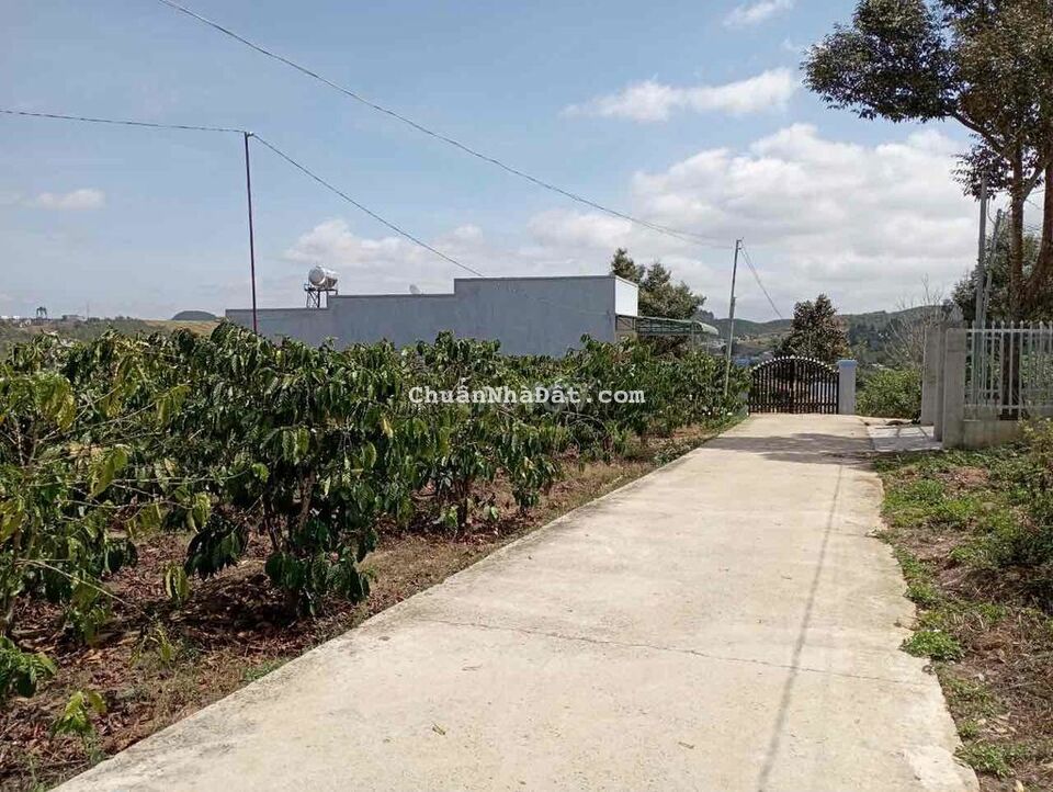 chủ ngợp gửi xã lỗ lô đất Ninh Gia Đức Trọng sổ sẵn