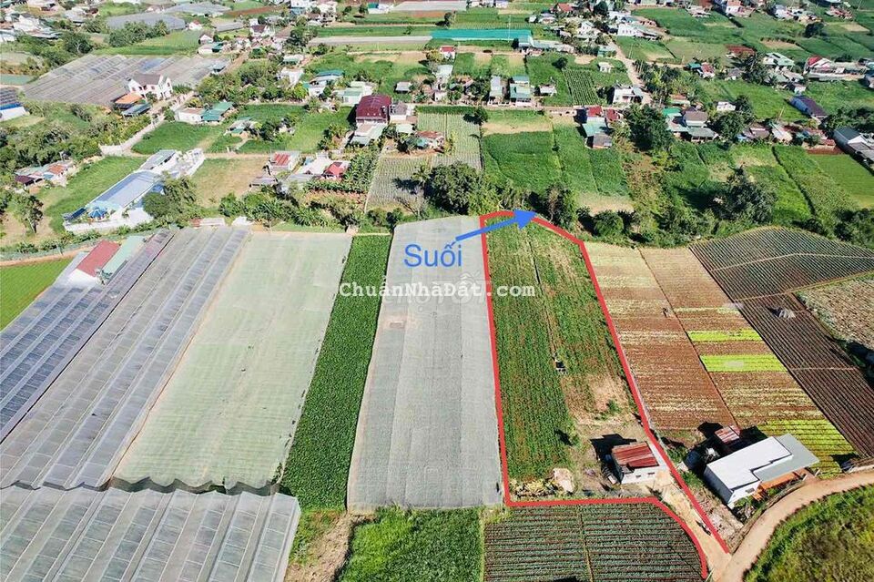 Bán đất vườn 3600m2 ngay sân bay Liên Khương