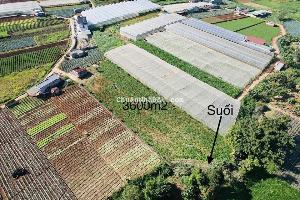 Bán đất vườn 3600m2 ngay sân bay Liên Khương