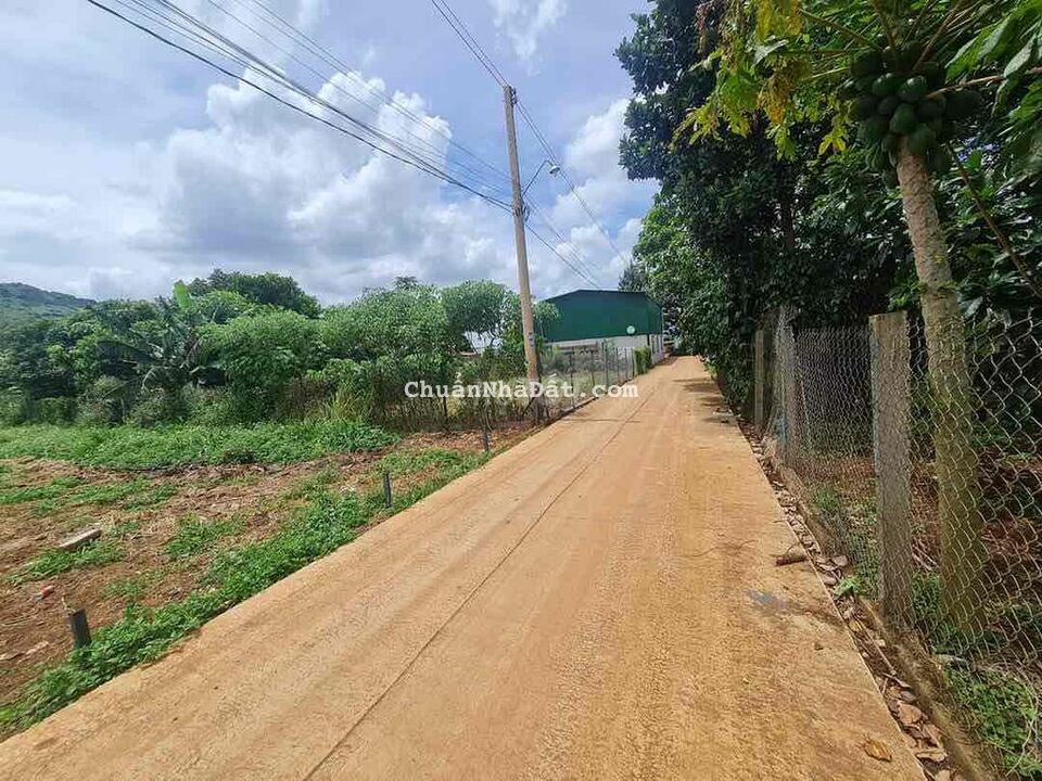 Đất Hiệp Thạnh 10x38m toàn bộ thổ cư , hẻm xe hơi - sổ hồng riêng Đất Hiệp Thạnh 10x38m toàn bộ thổ cư , hẻm xe hơi - sổ hồng riêng