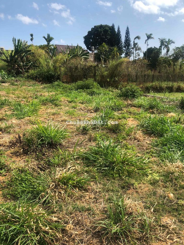 4000m2 đất Hiệp thạnh đường bê tông 6m gần Finom 4000m2 đất Hiệp thạnh đường bê tông 6m gần Finom