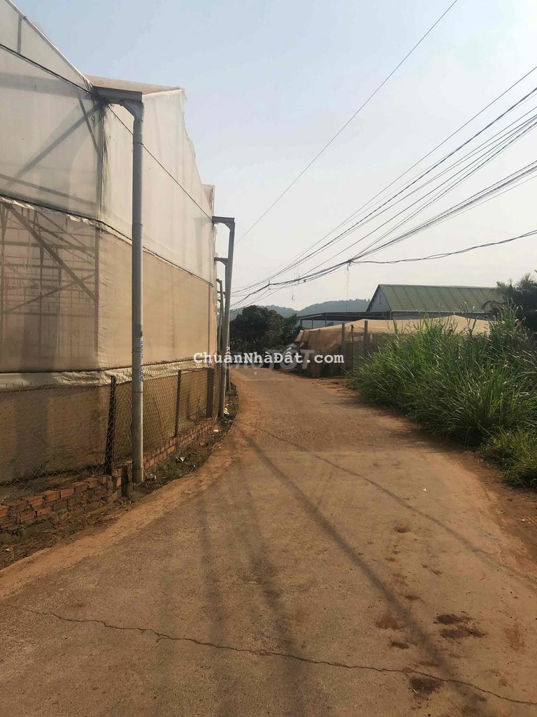 4000m2 đất Hiệp thạnh đường bê tông 6m gần Finom 4000m2 đất Hiệp thạnh đường bê tông 6m gần Finom