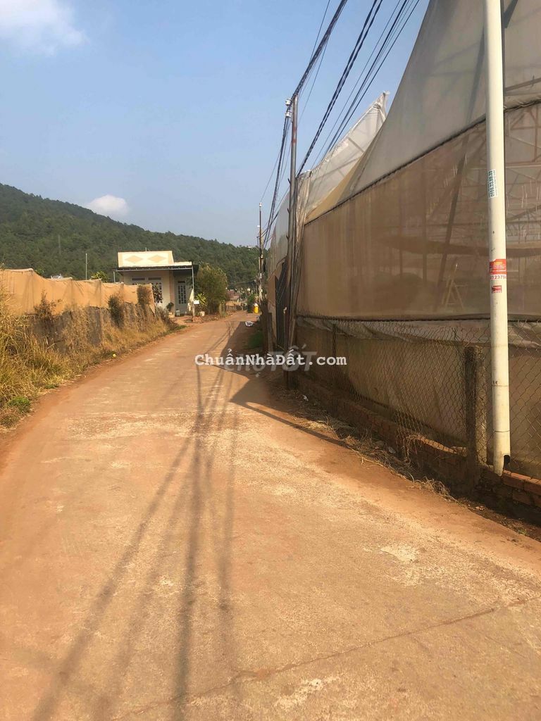 4000m2 đất Hiệp thạnh đường bê tông 6m gần Finom 4000m2 đất Hiệp thạnh đường bê tông 6m gần Finom