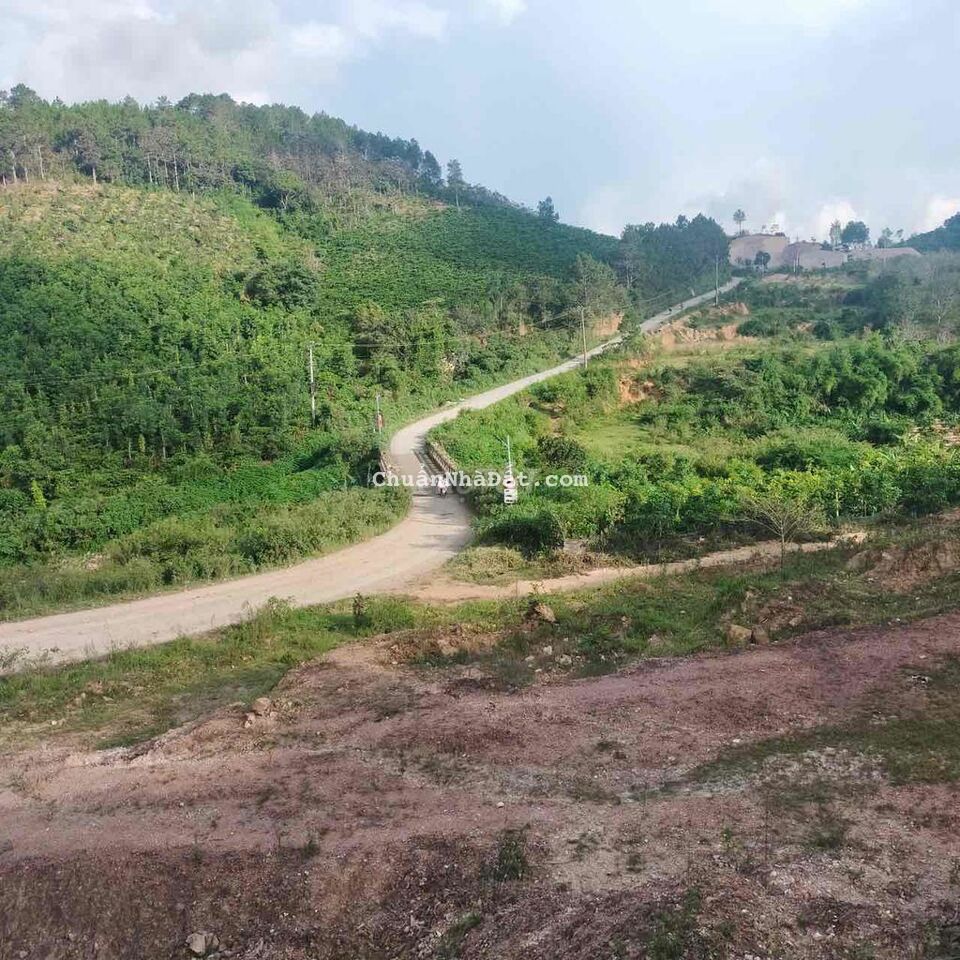 Bán 5000m2 mặt tiền đường nhựa chính rộng 66m