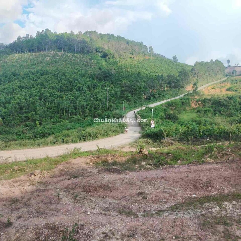 Bán 5000m2 mặt tiền đường nhựa chính rộng 66m