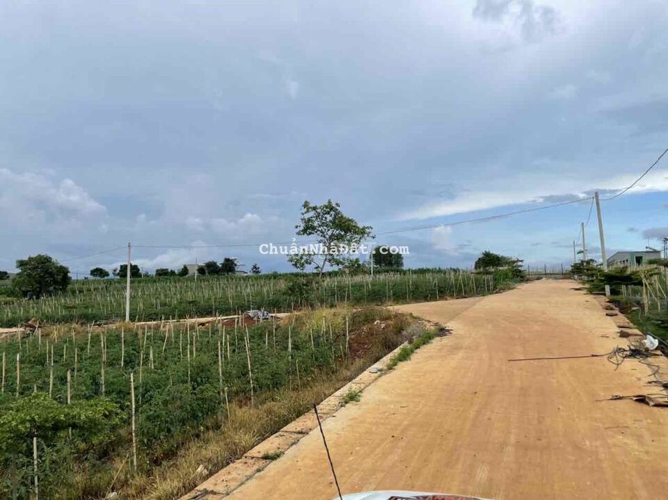 Bán đất thổ cư 5800m2 ngay sân bay Liên Khương