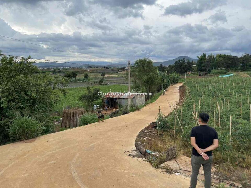 Bán đất thổ cư 5800m2 ngay sân bay Liên Khương