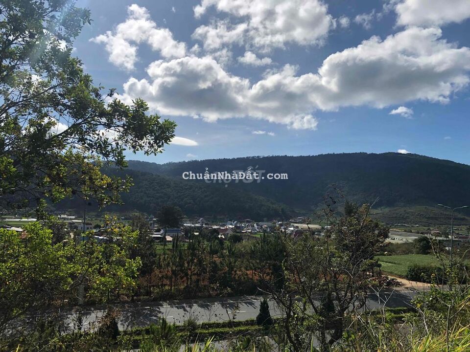 800m2 (15x53m) đất trung tâm thị trấn Liên Nghĩa 800m2 (15x53m) đất trung tâm thị trấn Liên Nghĩa