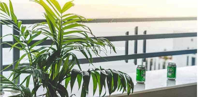 cho thuê căn hộ chung cư muog thanh 2pn đủ nội thất cho thuê căn hộ chung cư muog thanh 2pn đủ nội thất