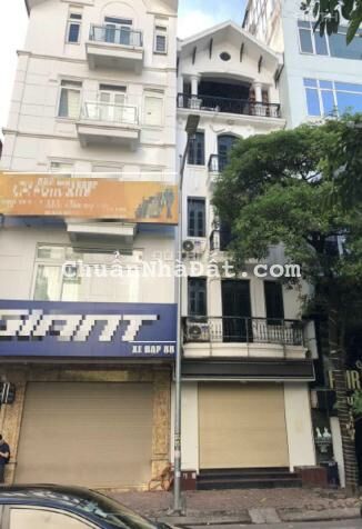 Cho thuê biệt thự làng việt kiều 3,5 tầng làm văn phòng, ở trung tâm tiếng tiếng anh