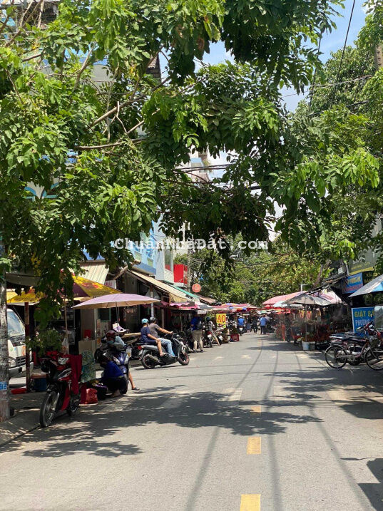 Nguyên căn đường Số 1 sát bên chợ Tân Mỹ - Quận 7. DT 4x12m, KD đa ngành