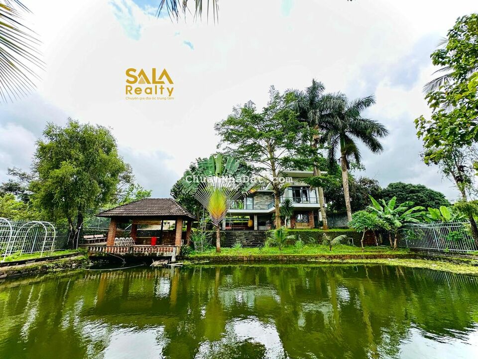 Cho thuê nhà vườn đẹp 2.000m2 đường Đào Duy Anh BMT