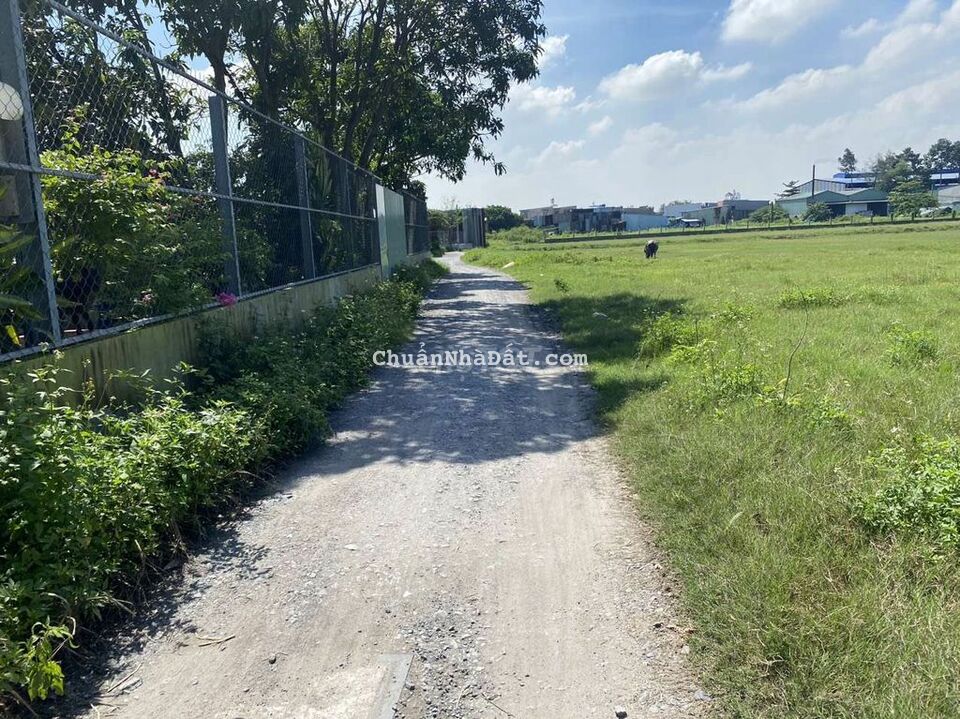 Cho thuê 1000 m giá 3.2 tr kênh trung ương vl a