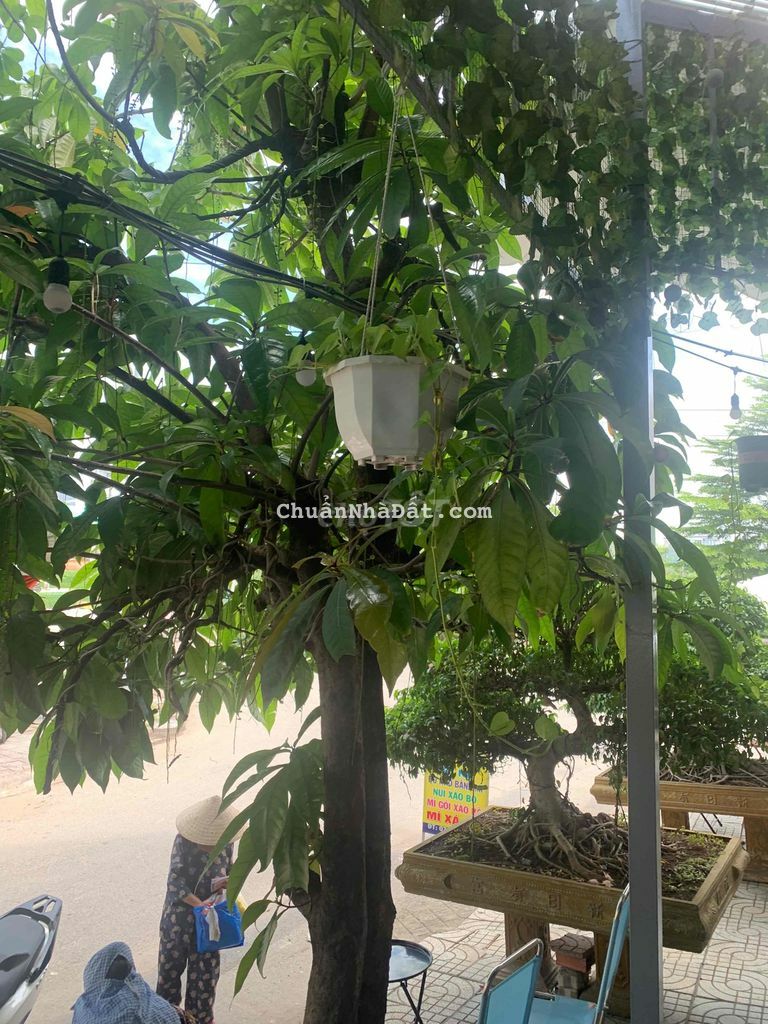 Cho thuê nhà nguyên căn giá rẻ. Phường An Lac.BTân