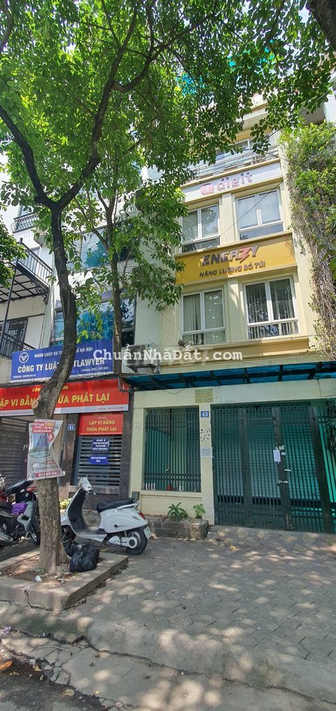 Cho thuê nhà liền kề Trung Yên 9, dt 116m2 x 6 tầng, sàn thông toàn bộ