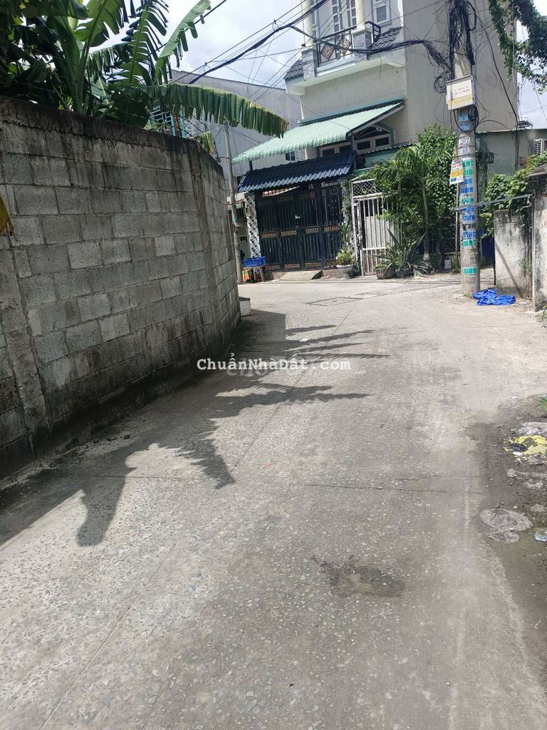 🍓🏕 villa Thị Trấn Hóc Môn Cho Thuê 🏕🍓 🍓🏕 villa Thị Trấn Hóc Môn Cho Thuê 🏕🍓