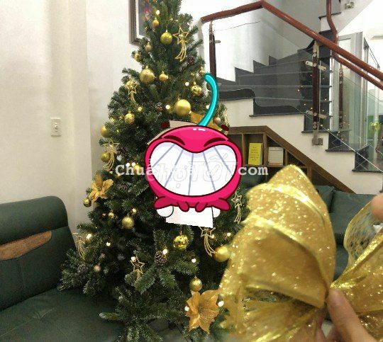 CẦN CHO THUÊ NHANH NHÀ NGUYÊN CĂN 2 TẦNG ĐƯỜNG ĐẶNG TỬ KÍNH