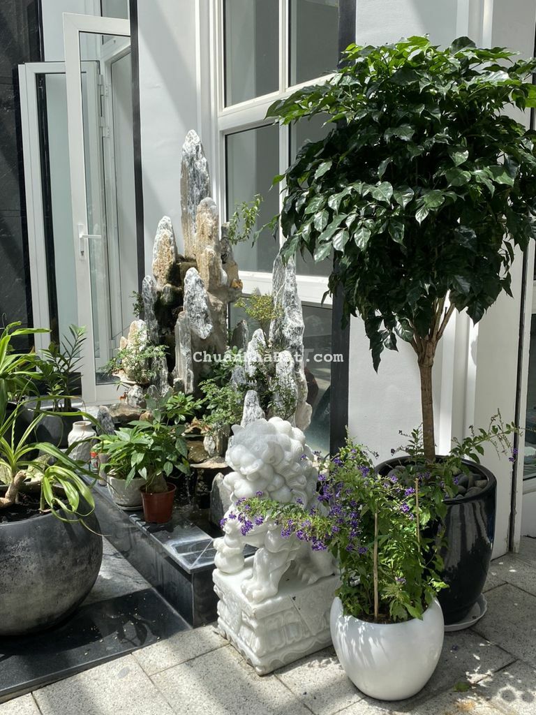 Cần cho thuê nhà Đặng Văn Ngữ, Phú Nhuận, dt 4x16m, giá 35tr/tháng