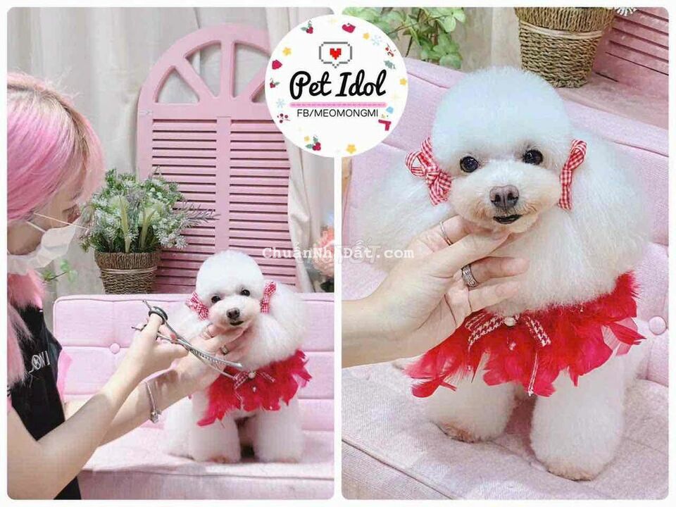 Trệt 3 Lầu Mặt Tiền ĐS Hoàng Quốc Việt Khu LaCaSa Trệt 3 Lầu Mặt Tiền ĐS Hoàng Quốc Việt Khu LaCaSa