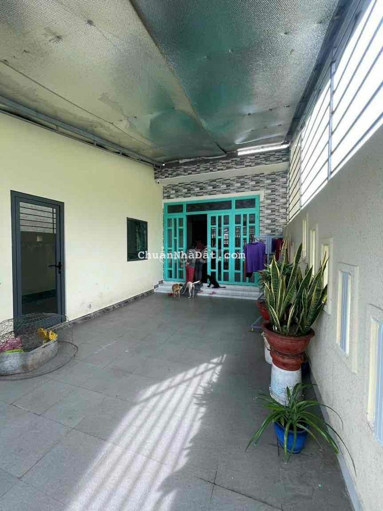 Cho Thuê Nhà Chánh Mỹ 7x23 Nhà Xây Chắn Chắn THỦ Dầu Một , BD