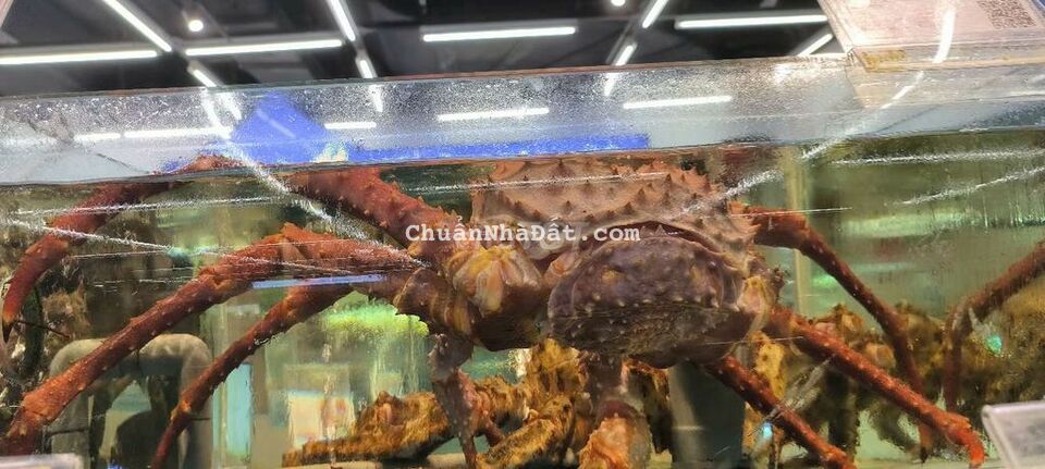 Nhà cho thuê 2 phòng ngay lạc Long Quân giá 7tr