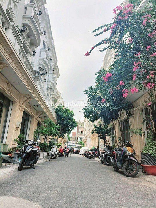 🐉 H5M THÔNG 8/8 TÂN SƠN NHÌ 💤 GÒ DẦU_4 x 12m_3.5 TẤM_ MỚI CỨNG