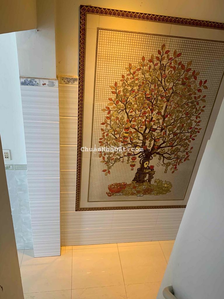 nhà p. tân quý 5x12m 1lầu sân thượng 10tr