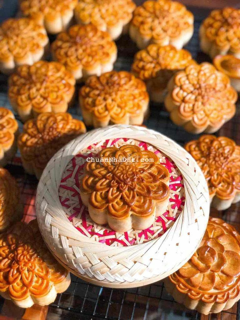 Cho thuê nhà mặt tiền trống suốt mặt tiền Lê Đình Kỵ