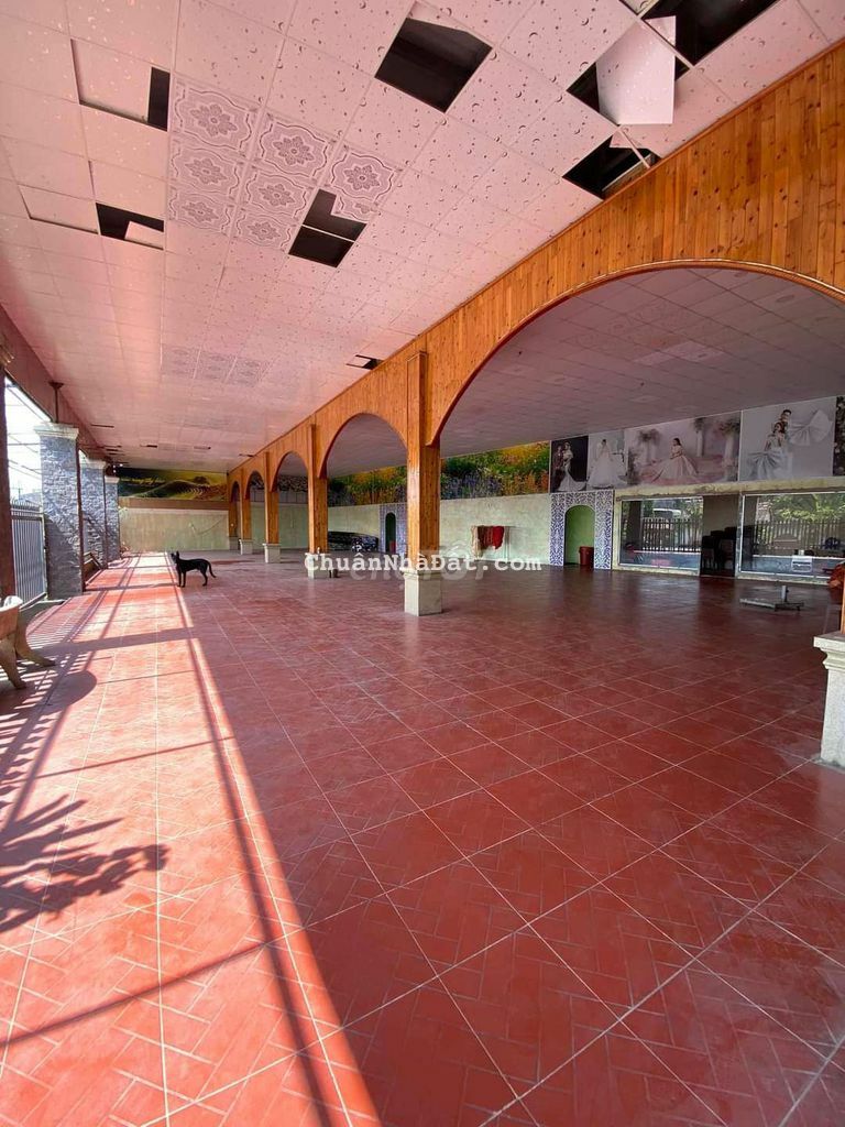 🏕CHO THUÊ XƯỞNG KV DĨ AN._600m2_Chỉ 20tr/Th