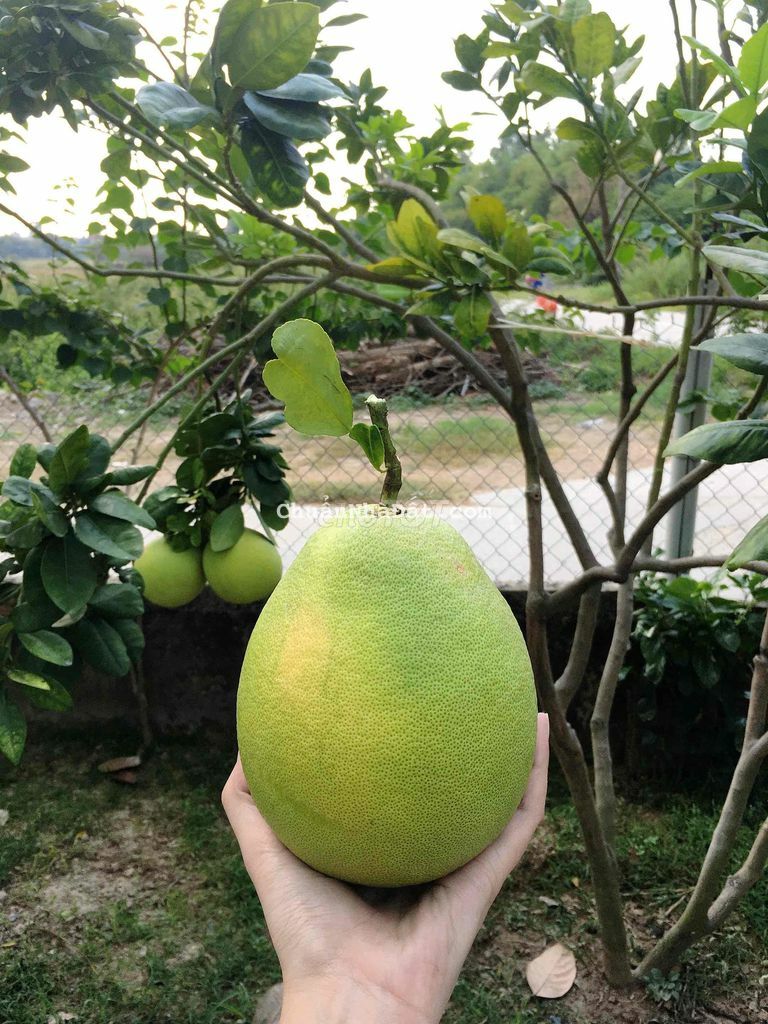 Mặt bằng kề ĐH ĐÔNG Á - riêng biệt - cho kd tất cả