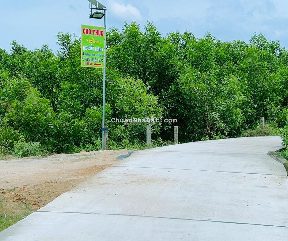 Cho thuê Homestay siêu xinh, gần biển, giá rẻ, sạch sẽ, thoáng, La Gi. Cho thuê Homestay siêu xinh, gần biển, giá rẻ, sạch sẽ, thoáng, La Gi.