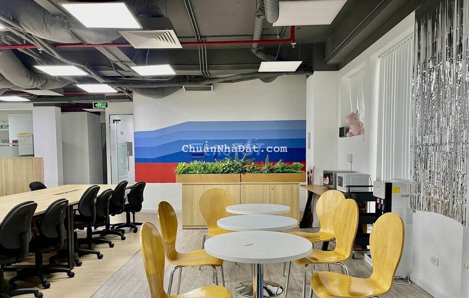 ️⚽ Cho thuê Tòa MT gần Sân Bay, 11.5m x 20m, hầm 6 tầng, NT đầy đủ