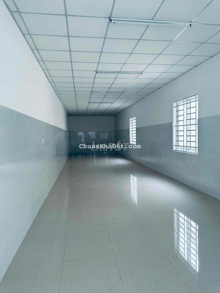 CHO THUE MẶT BẰNG CÁCH MẠNG THÁNG 8 - PHÚ CƯỜNG CHO THUE MẶT BẰNG CÁCH MẠNG THÁNG 8 - PHÚ CƯỜNG