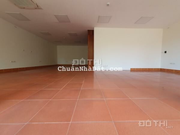 Cho thuê sàn Văn phòng phố Láng 115m2 thiết kế thông sàn, mặt tiền 10m Cho thuê sàn Văn phòng phố Láng 115m2 thiết kế thông sàn, mặt tiền 10m