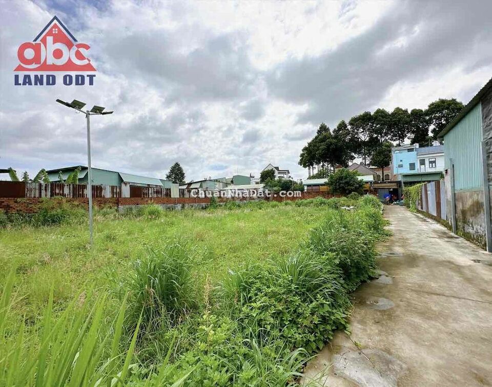 CHO THUÊ ĐẤT NGAY TÂN PHONG GIÁ 10tr