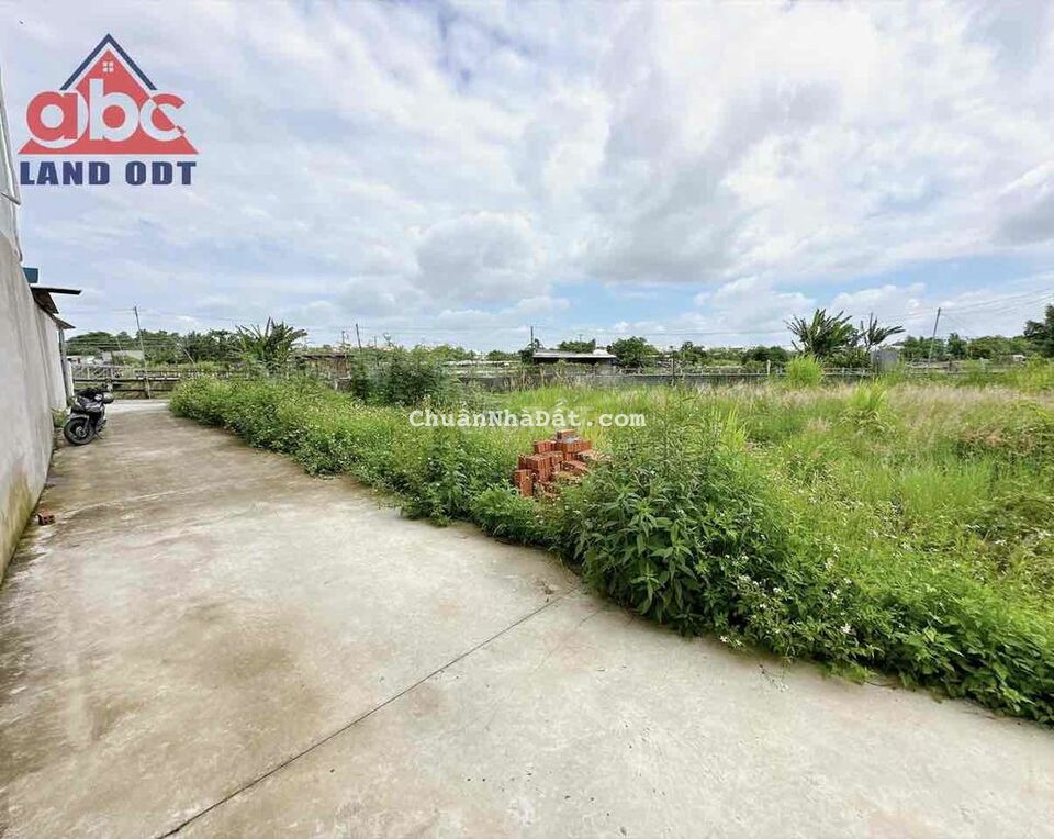 CHO THUÊ ĐẤT NGAY TÂN PHONG GIÁ 10tr