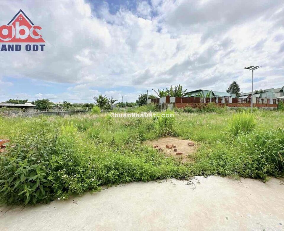 CHO THUÊ ĐẤT NGAY TÂN PHONG GIÁ 10tr