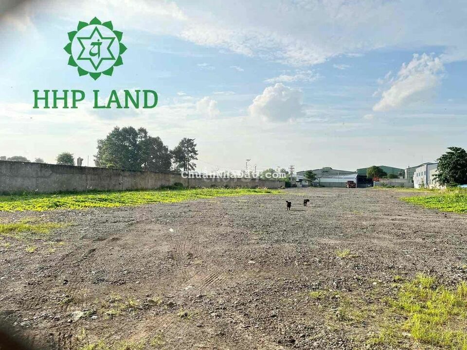 Cho thuê đất trống làm kho bãi mặt tiền đường Võ Nguyên Giáp Cho thuê đất trống làm kho bãi mặt tiền đường Võ Nguyên Giáp