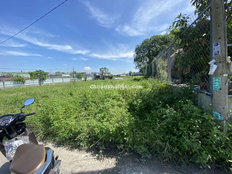 Đất cho thuê Đất cho thuê