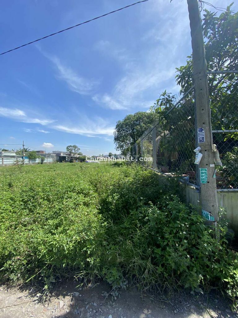 Đất cho thuê Đất cho thuê