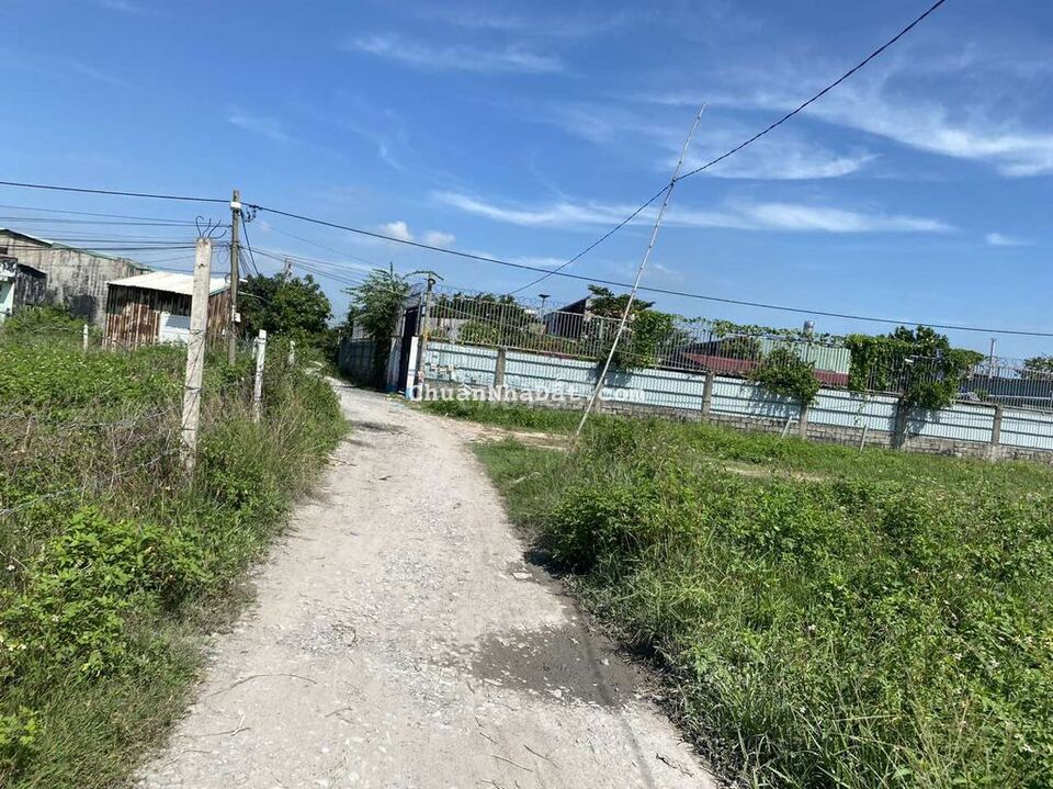 Đất cho thuê Đất cho thuê