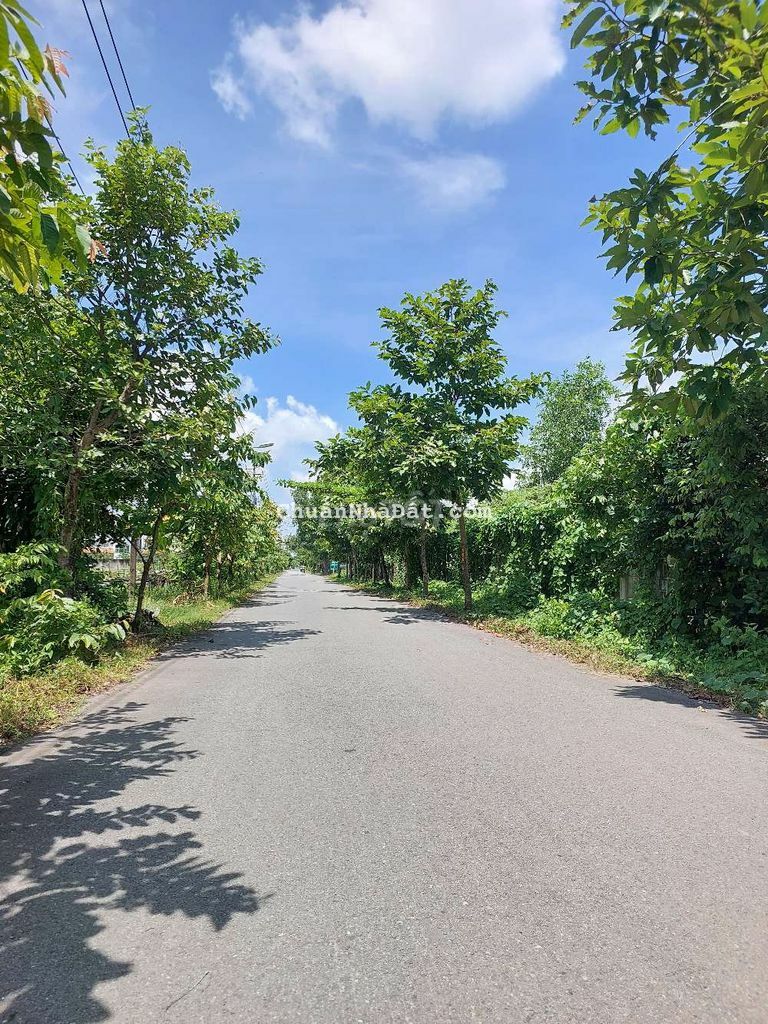 Cho thuê đất mặt tiền, 3.000 m2, mở câu cá, kho