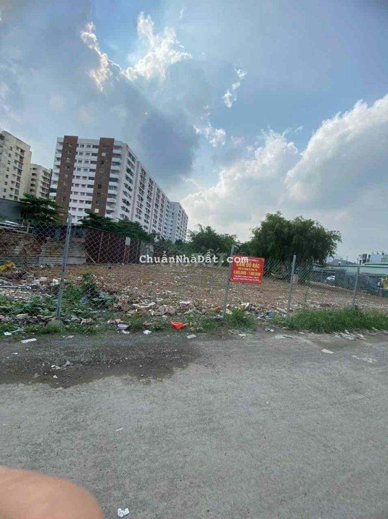 Cho thuê đất mặt tiền bờ kè 1100 m2 có 50 thổ cư