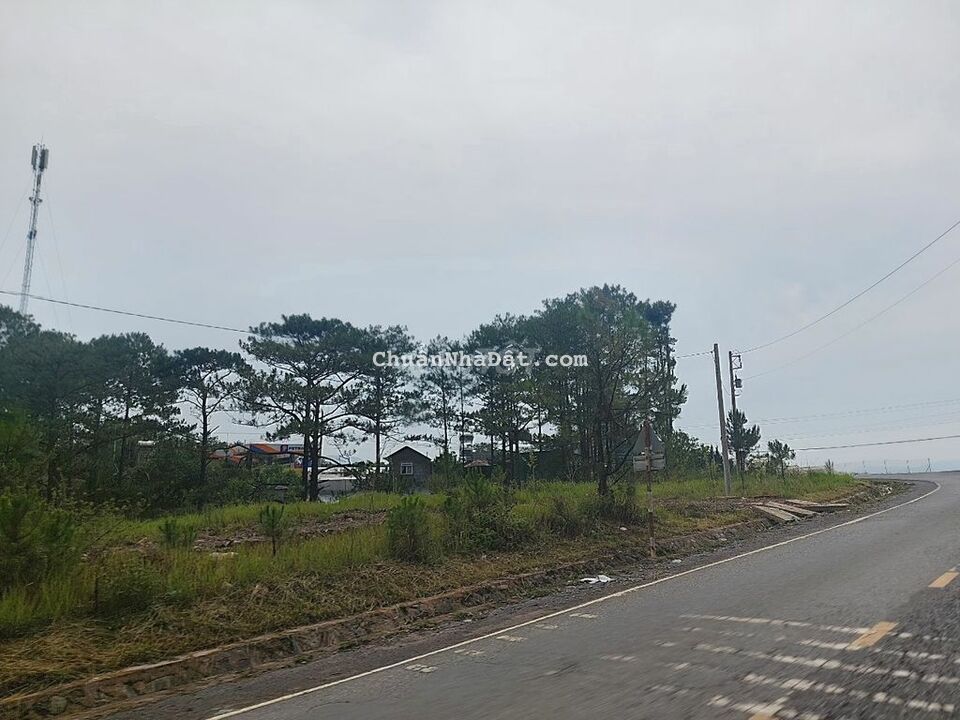 Cho thuê lô đất mặt tiền Nguyễn Du p9 Dalat